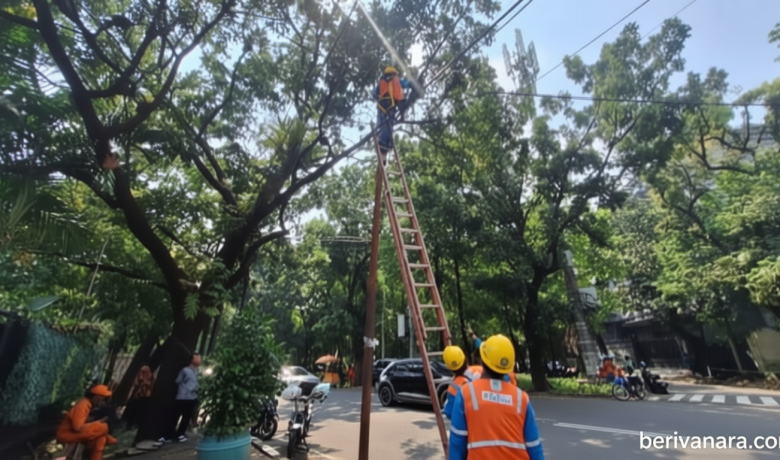 Historic Moment: Pascatragedi Siswi SMAN 6 Jakarta, Kelurahan Minta Bantuan PLN Rapikan Kabel Menjuntai di Lauser