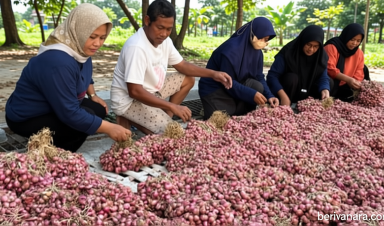 Peringatan Dini El Nino – BMKG Makassar Anjurkan Petani buat Persiapan Air dan Penyesuaian Bibit