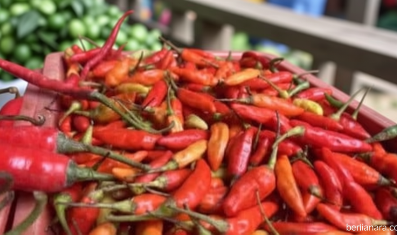 Latest Program: Harga Cabai Rawit Merah Tembus Rp63.200 per Kg, Jadi Komoditas Pangan Nasional Termahal di Pasar