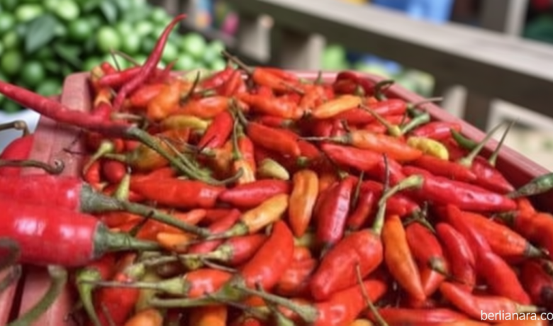 Latest Program: Harga Cabai Rawit Merah Tembus Rp63.200 per Kg, Jadi Komoditas Pangan Nasional Termahal di Pasar