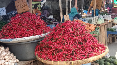 Latest Program: Pangan Nasional: Harga Cabai Rontok, Daging dan Bawang Putih Justru Merangkak Naik