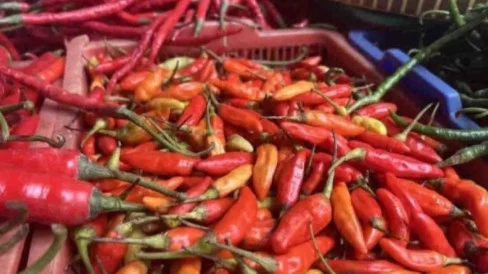 Key Strategy: Harga Cabai Rawit Rp62.150/kg, Telur Ayam Rp29.100/kg per Selasa Pagi