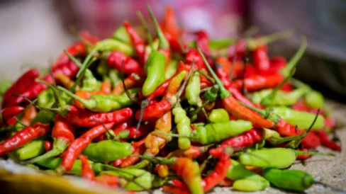 Special Plan: Harga Cabai Rawit Rp58.400/kg, Telur Ayam Rp29.000/kg pada Rabu Pagi