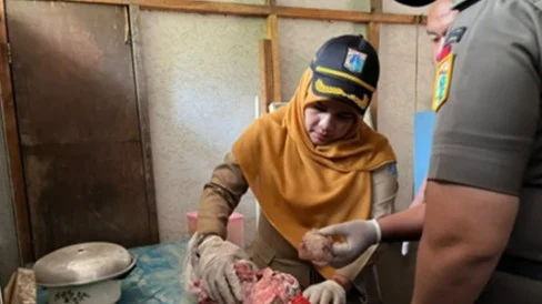 KPKP Jakarta Barat Lakukan Sidak – Ditemukan Warung Makan yang Diduga Jual Daging Anjing