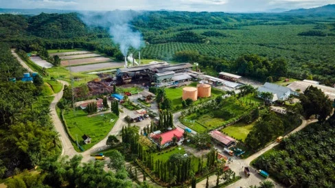 Indonesia Didorong Mengoptimalkan Potensi Sawit sebagai Sumber Energi Terbarukan