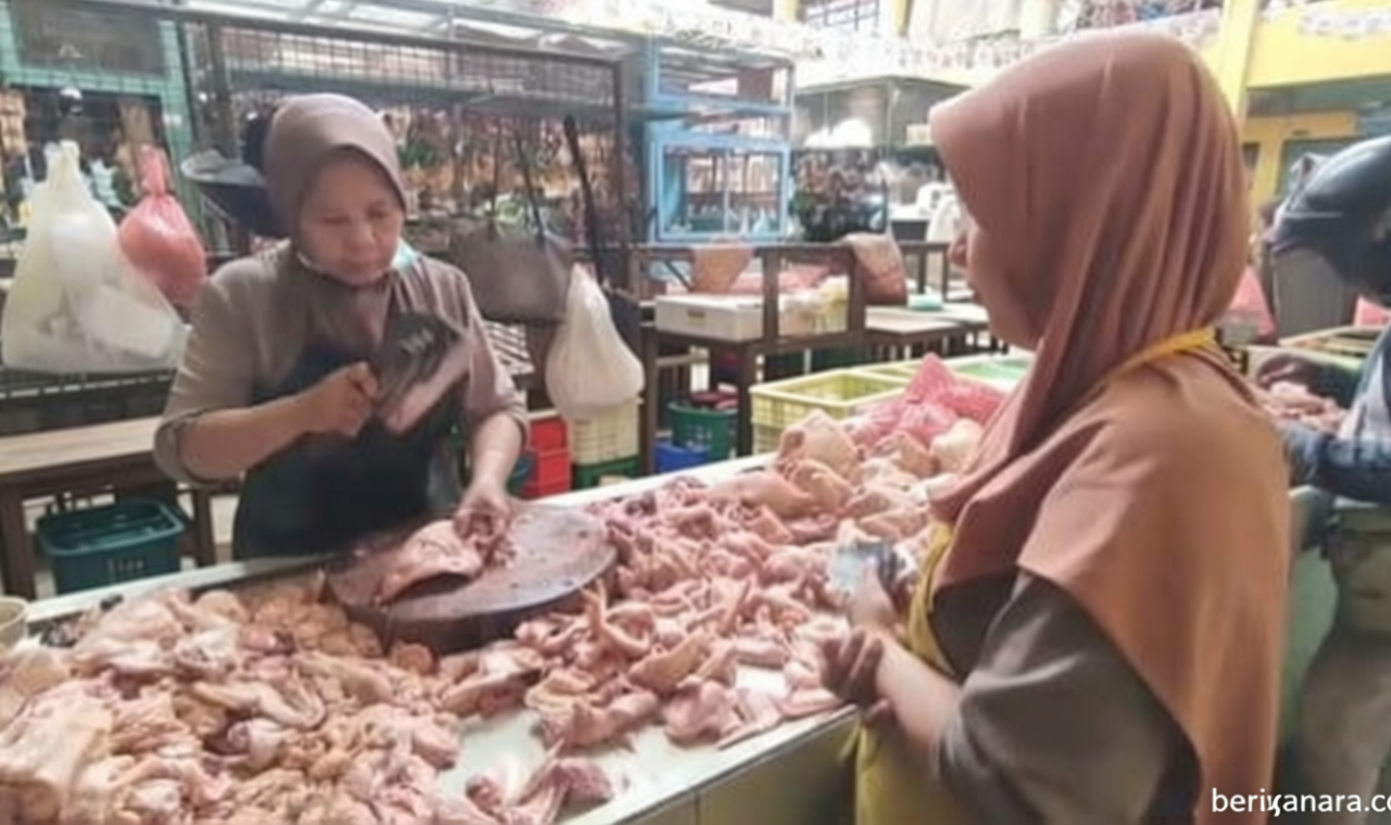 New Policy: Harga Daging Ayam Merosot Drastis Selama Libur Sekolah, Rp32 Ribu per Kilogram