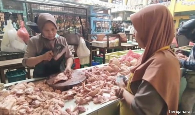 New Policy: Harga Daging Ayam Merosot Drastis Selama Libur Sekolah, Rp32 Ribu per Kilogram