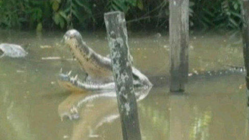 detik Pria Paruh Baya Diterkam Buaya di Sungai Guntung Karawang Saat Teertidur di Atas Perahu