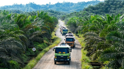 Kadin Nilai Pentingnya Penguatan Aliansi Indonesia dengan Negara Produsen Sawit Global