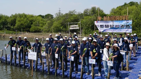 Penanaman 3.250 Mangrove di Pesisir Jakarta Diarahkan untuk Perkuat Ketahanan Iklim dan Kurangi Risiko Bencana
