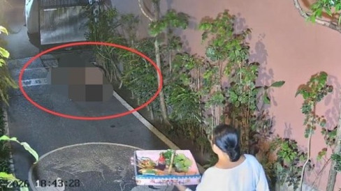 Bak Kucing, Pasangan Bule Berhubungan Badan di Pekarangan Rumah Warga Bali: Diteriaki Cuek, Kini Diburu Polisi dan Imigrasi