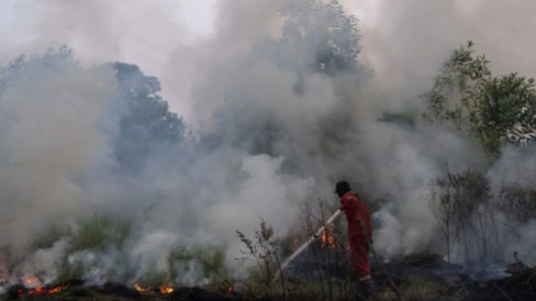 Merebak Kabut Asap Sepekan Terakhir, Kasus ISPA di Pontianak Meningkat 10 Persen