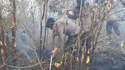 Enam Perusahaan Disanksi Kemenhut Buntut Karhutla 1.511 Hektare di Kalimantan