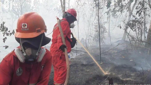 Gabungkan Kekuatan untuk Kendalikan Karhutla, BNPB: Pemerintah Tidak Tinggal Diam